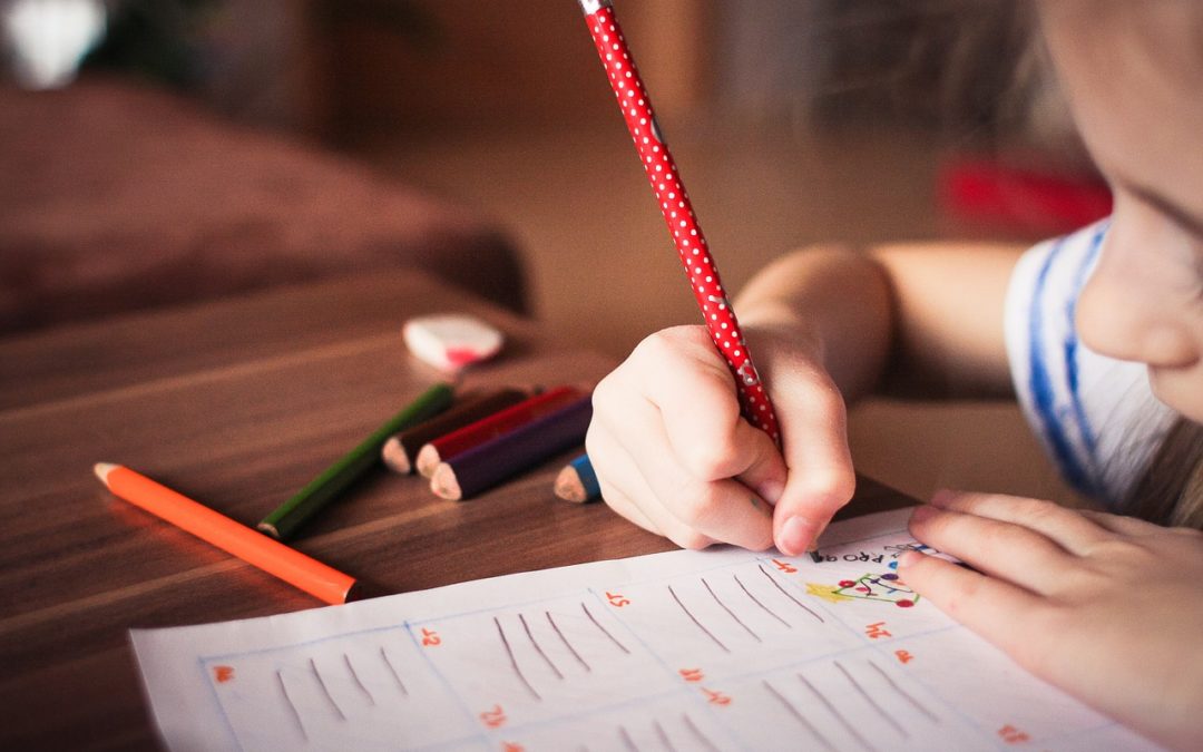 Child Doing Homework - Lens on Leading: Notes from Antony